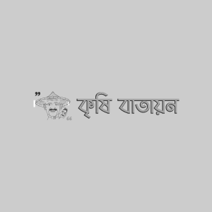 FTIP- BAU তেঁতুল-১ ( মিষ্টি)