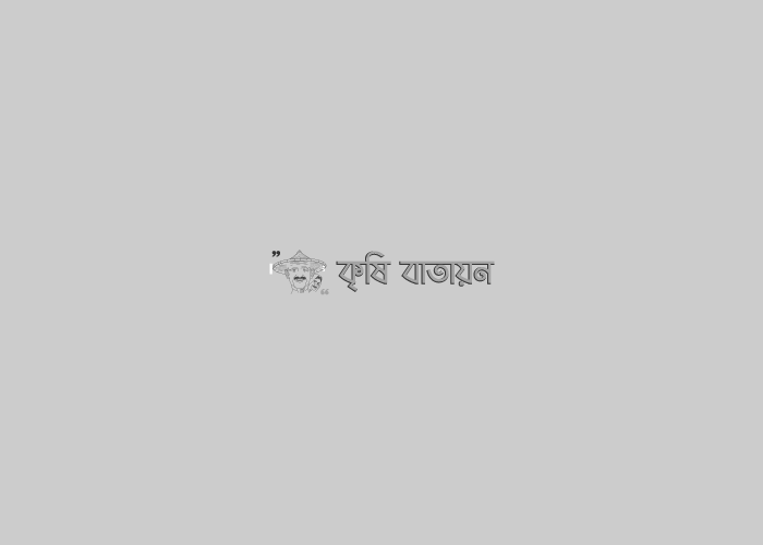 বৃক্ষকথন