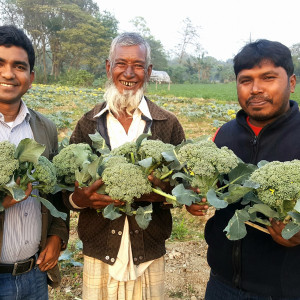 ব্রকলি-চাষএ-সফল-চুয়াডাঙ্গার-কৃষক